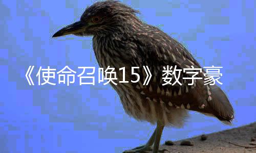 版上命召使数字商城 售唤1豪华元加强架X价9