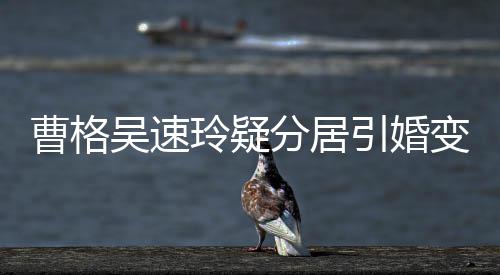 变猜吴速人三气回曹格测 分居引婚应经纪字霸玲疑